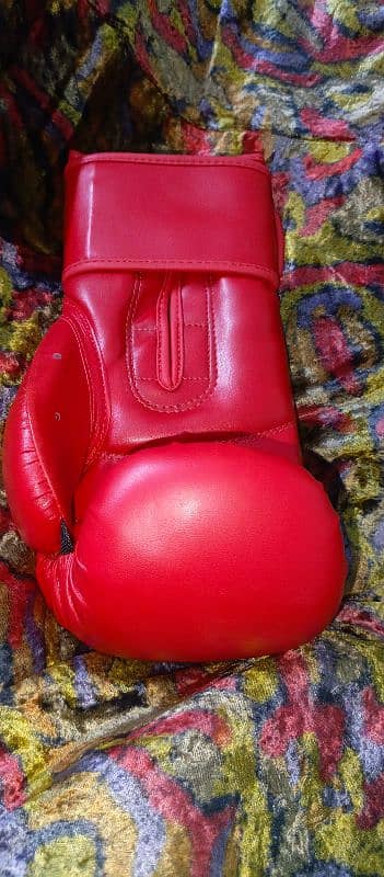 boxing gloves 1