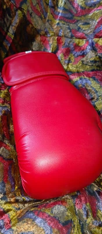 boxing gloves 2