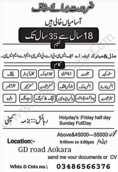 Office work kay leyay staff ki zarorat ha 4 seats available