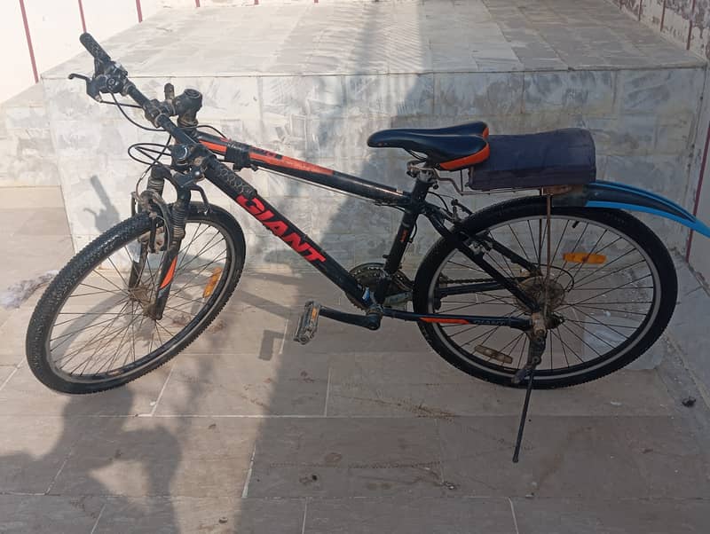 Imported Bicycle 1