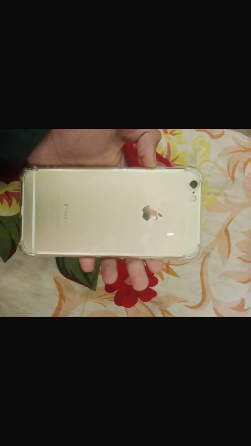 Apple iPhone 6 Plus 1