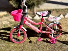 Baby Girl Bicycle for 3-5 year Kids