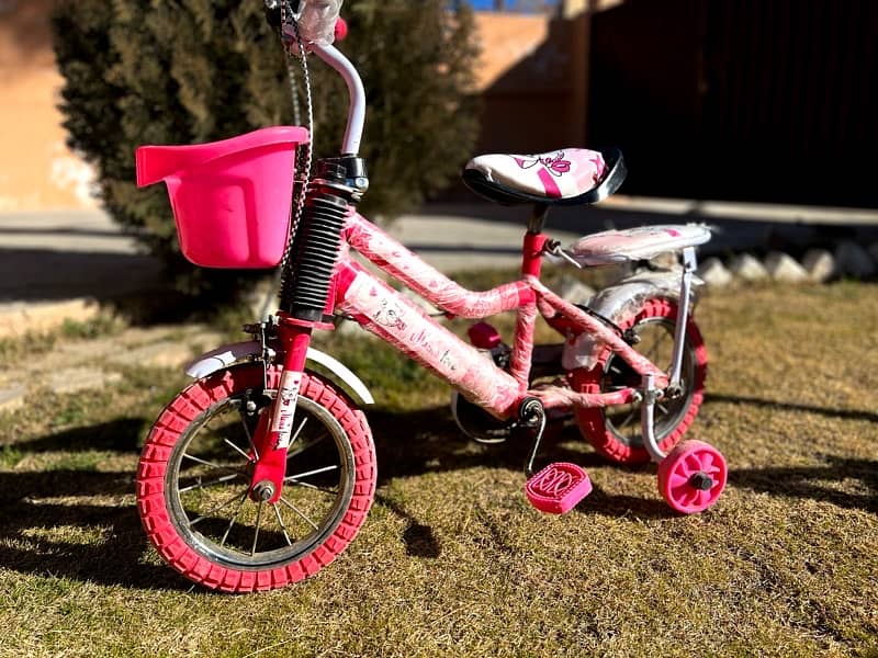 Baby Girl Bicycle for 3-5 year Kids 1