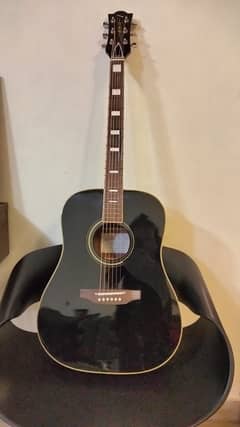 New Professional Guitar - Imported Ranger 6 (Vintage Addition)