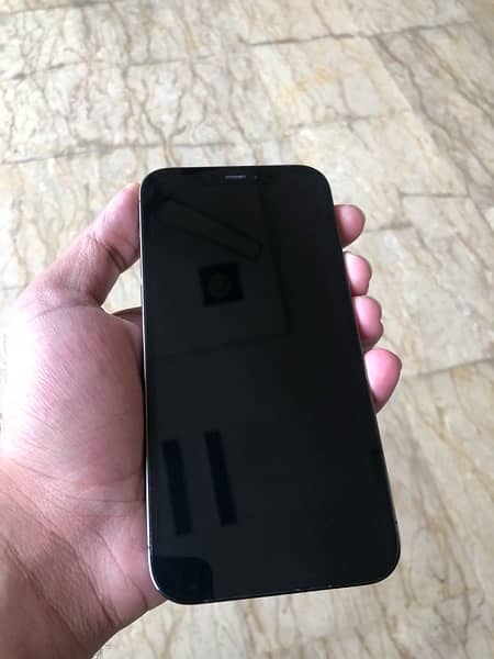 Iphone 12 Pro 256Gb Non Pta 1