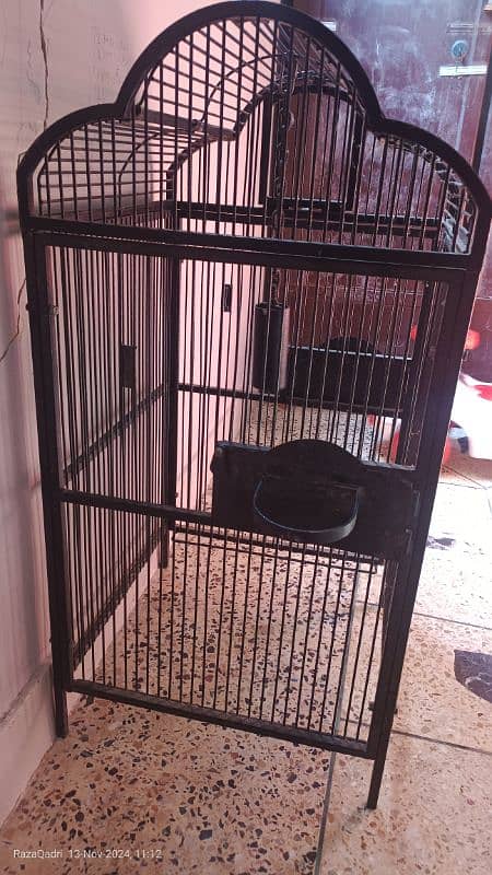 grey parrot cage 1