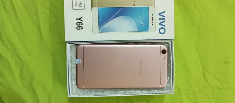 Vivo y 66 1