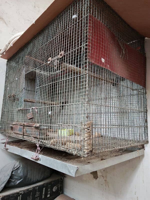 Cage Pinjra 4ft X 2D 0