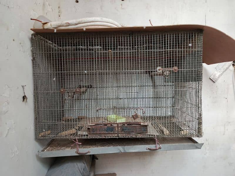 Cage Pinjra 4ft X 2D 2