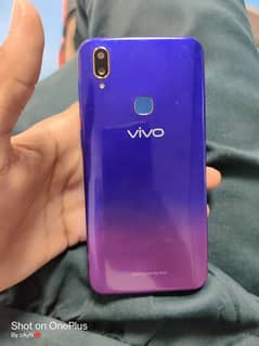 vivo