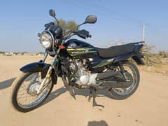 Yamaha YB125Z 2024 Model.