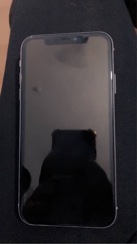 iphone 11 non pta 2