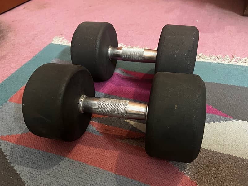 10KG Dumbbell Pair 1