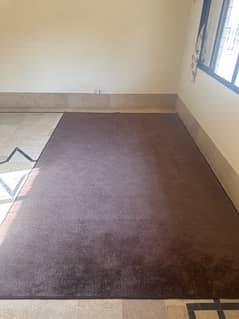 dark brown carpet