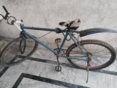 phoenix Bicycle in running condition for sale