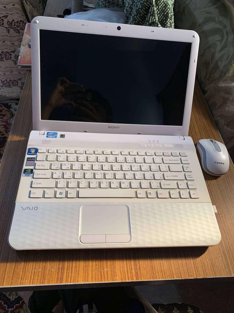 Sony VAIO 1