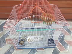 Cage for finches and small birds