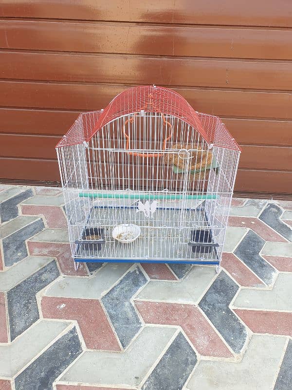 Cage for finches and small birds 1