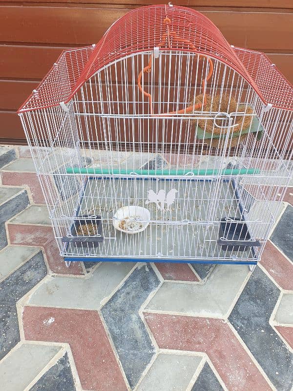 Cage for finches and small birds 2