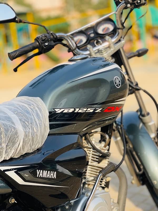 yamaha 125 model 2024 (0/3/3/1/2/7/0/0/1/3/8) 13