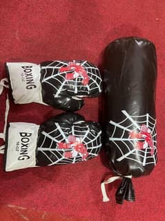 Boxing glove and bag home delivery (read description)