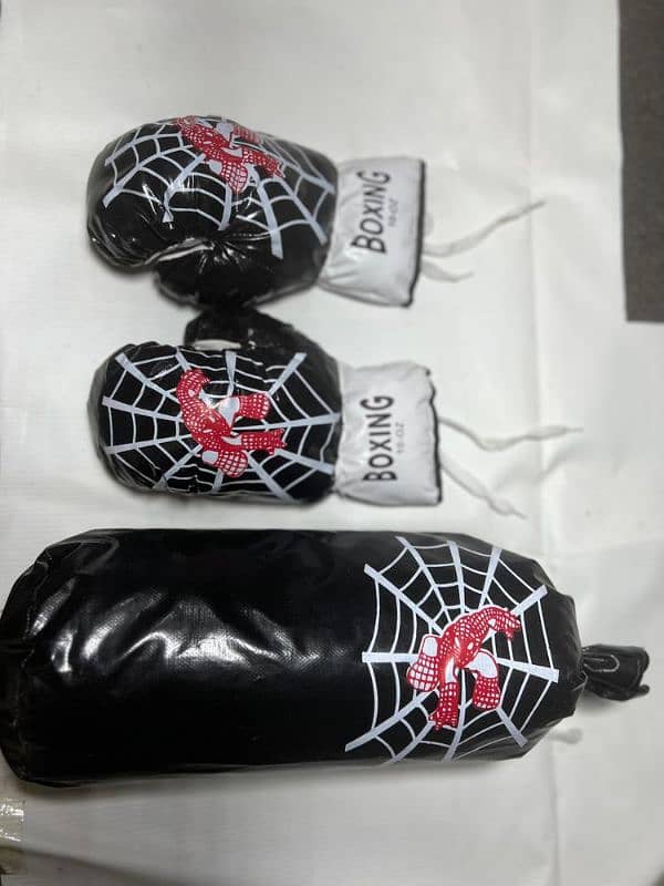 Boxing glove and bag home delivery (read description) 1