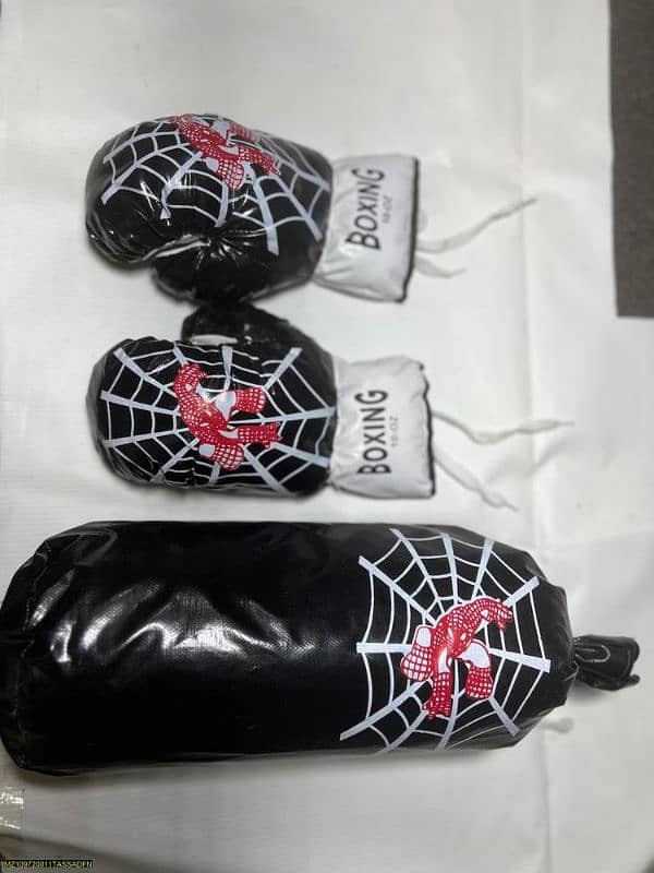 Boxing glove and bag home delivery (read description) 2