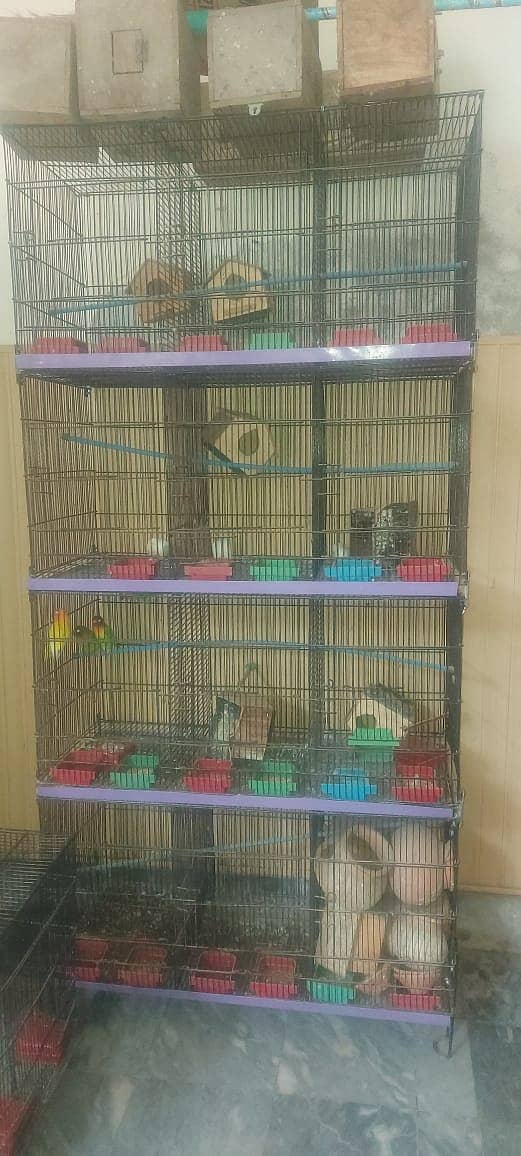 12 Portion Cage best for bugies 1 seaon used 1