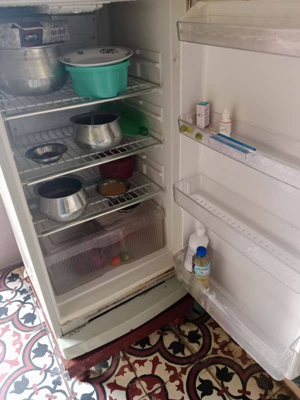 fridge 1