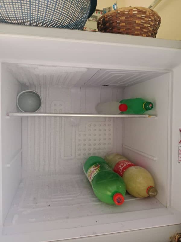 fridge 2