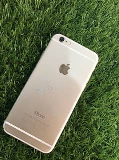 iphone 6 golden colur pta approve 16 gb