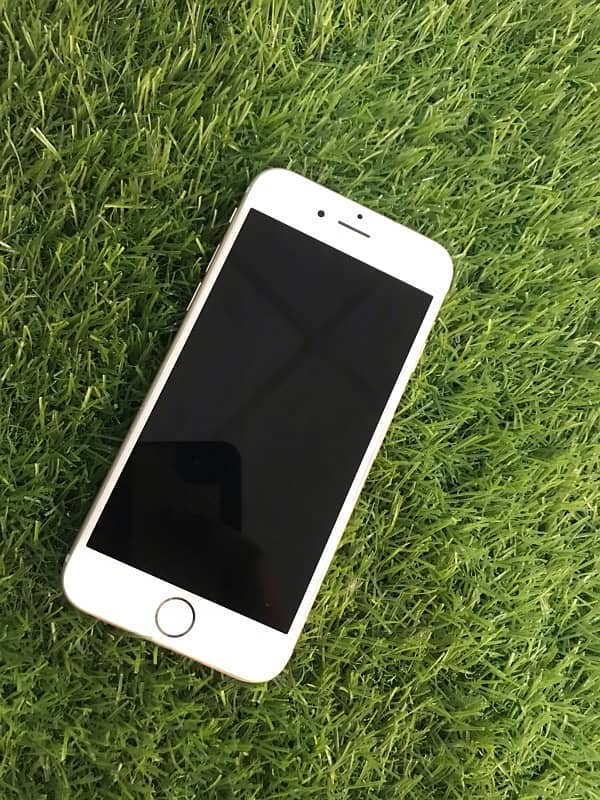 iphone 6 golden colur pta approve 16 gb 1