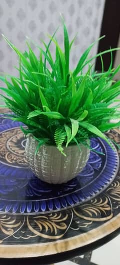 "Artificial Small Decorative Plant – Perfect for Home or Office Décor"