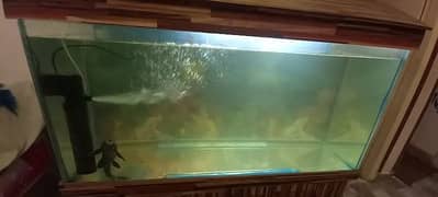 4 ft AQUARIUM WITH NEW MOTOR AND 1 BIG FISH FOR SALE