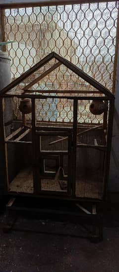 parrot Cage Hen Cage