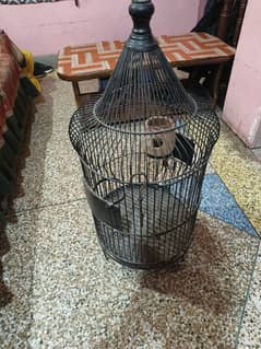 fancy Birds VIP Cage for sale