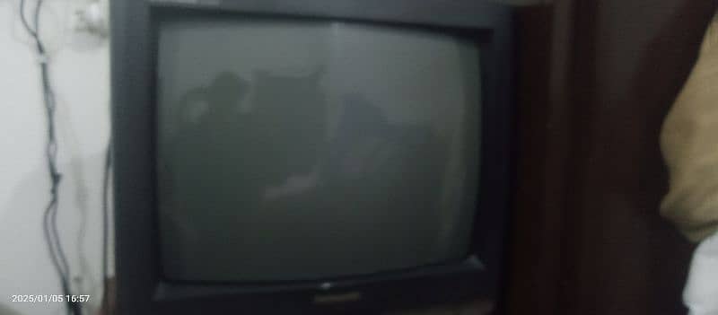 Television 1