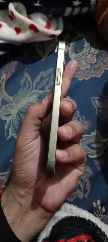 iphone 12 pro only exchange 0