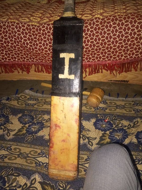 GM bat Hs bat Kashmir willow original 5