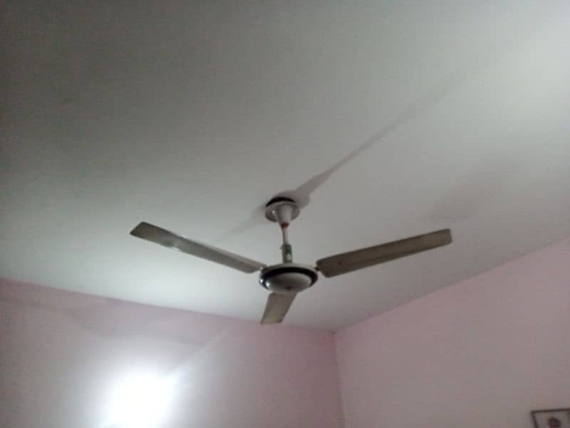 ceiling fan 1