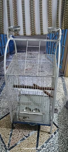 RAW PARROTS CAGE