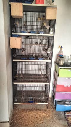 BIRD CAGES FOR SALE