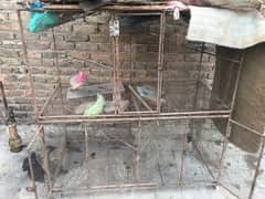 cage  for sale