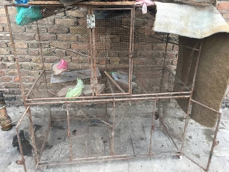 cage  for sale 1