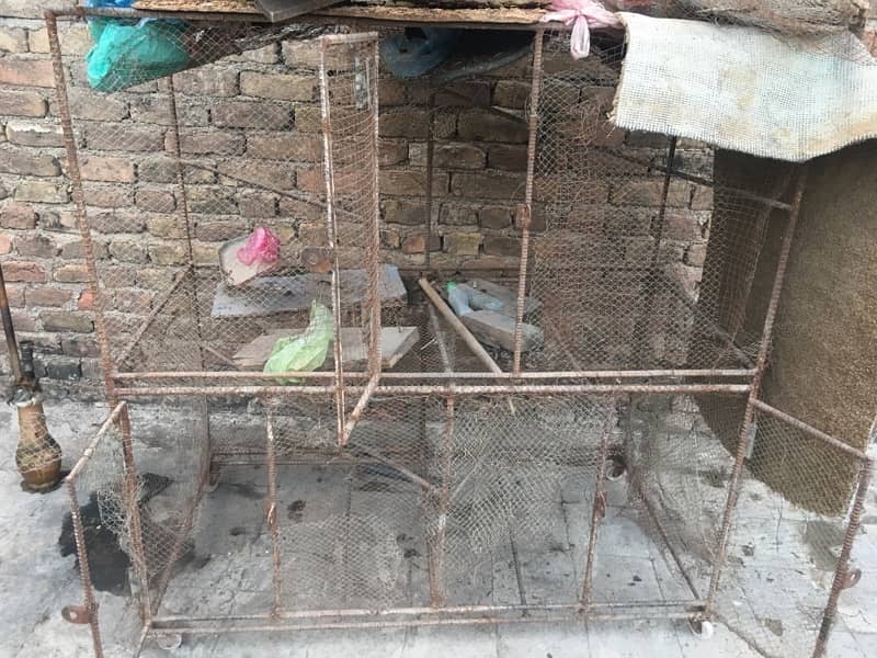 cage  for sale 3