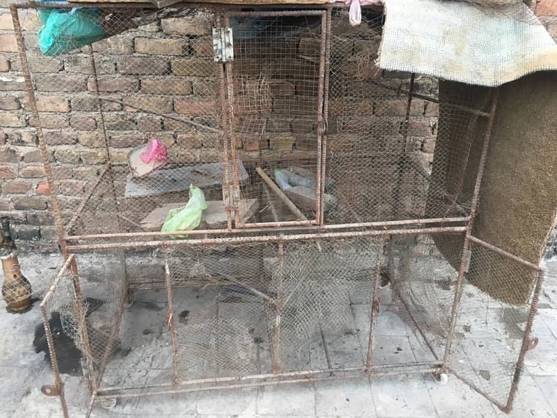 cage  for sale 5