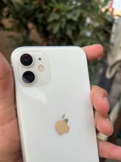 iphone 11  pta approved