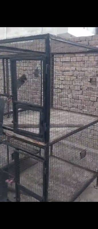 Cages for parrots 0