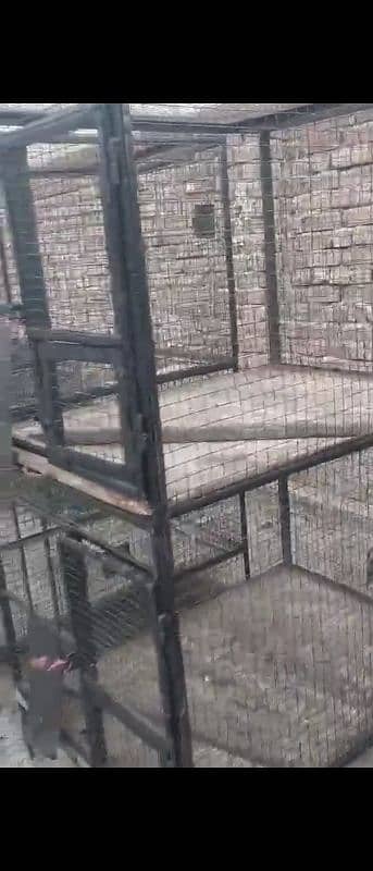 Cages for parrots 1