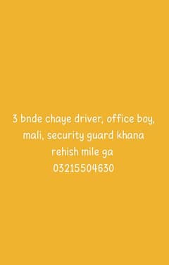 3 bnde chaye, driver, office boy, mali, security guard